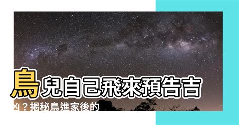 鳥自己飛來|【鳥來家裡】「家中突然來了一隻鳥，你知道它帶來了。